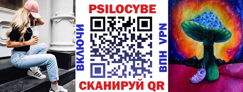 Псилоцибиновые грибы GOLDEN TEACHER  Купить  Щигры 