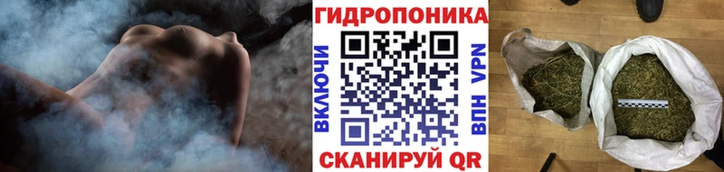 Купить где  Щигры  Конопля марихуана 